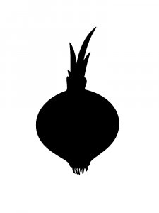 Onion Stencil 11