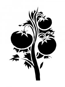 Tomato Stencil 5