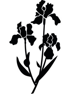 Трафарет Ирисов 13