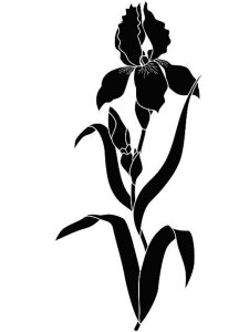 Трафарет Ирисов 14