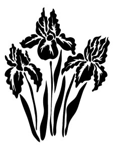 Трафарет Ирисов 16