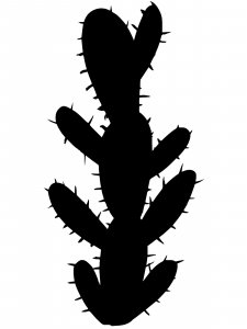 Трафарет Кактуса 9