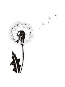 Трафарет Одуванчика 1