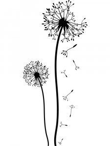 Трафарет Одуванчика 11