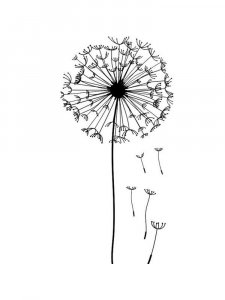 Трафарет Одуванчика 12