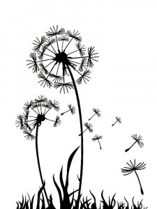 Трафарет Одуванчика 17