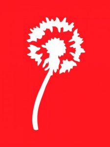 Трафарет Одуванчика 21