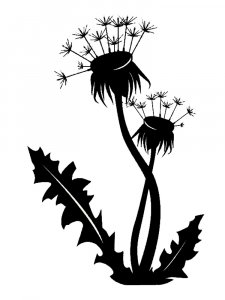 Трафарет Одуванчика 22