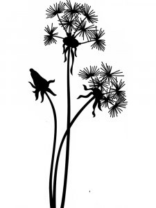 Трафарет Одуванчика 24