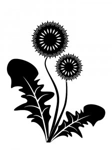 Трафарет Одуванчика 27