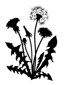 Трафарет Одуванчика 28