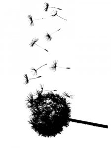 Трафарет Одуванчика 3