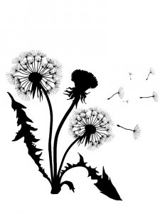 Трафарет Одуванчика 30