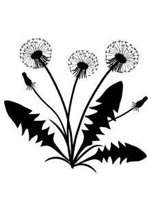 Трафарет Одуванчика 31