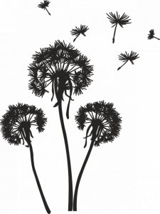 Трафарет Одуванчика 6