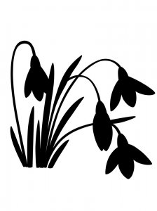 Трафарет Подснежника 10