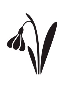 Трафарет Подснежника 13