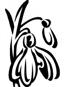 Трафарет Подснежника 5