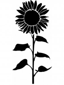 Трафарет Подсолнух 15