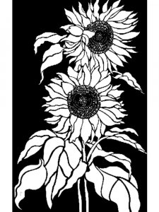 Трафарет Подсолнух 5