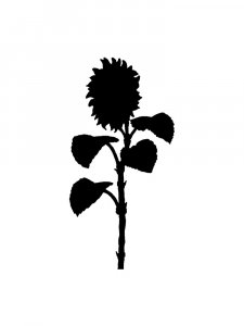 Трафарет Подсолнух 7
