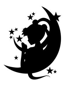 Трафарет Луны 15