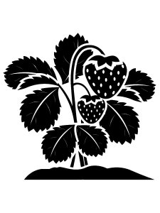 Трафарет Клубники 10