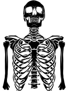 Free printable Skeleton stencils and templates