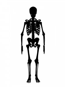 Skeleton Stencil 7