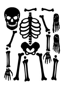 Skeleton Stencil 8