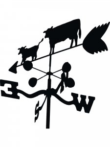 Vane Stencil 4