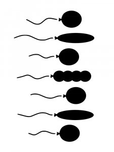 Balloons Stencils 6