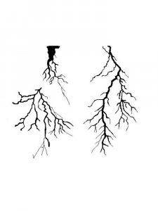 Lightning Stencil 1