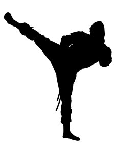 Ninja Stencils 8