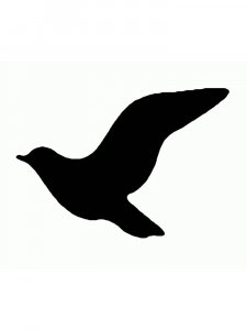 Simple Stencils 24