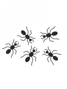 Трафарет Муравей 1