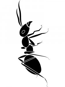 Трафарет Муравей 13