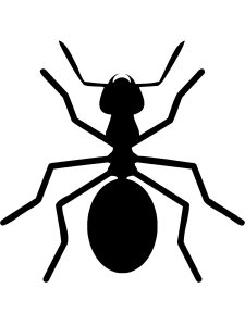 Трафарет Муравей 16