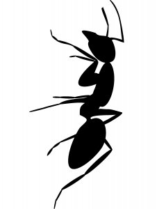 Трафарет Муравей 19