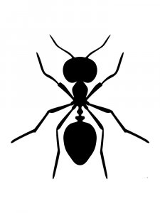 Трафарет Муравей 2