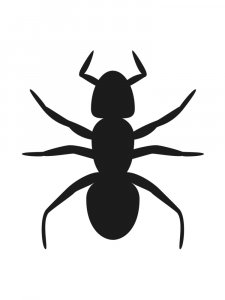 Трафарет Муравей 5