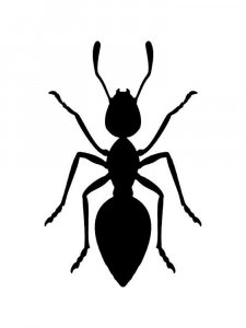 Трафарет Муравей 8