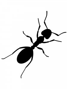 Трафарет Муравей 9