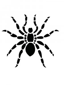 Трафарет Паука 12