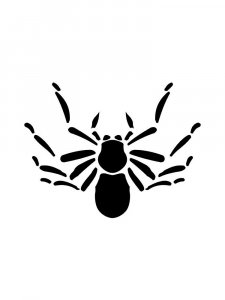 Трафарет Паука 3