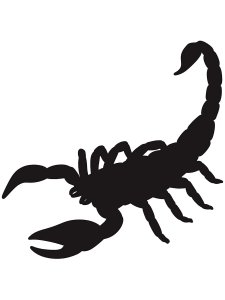 Трафарет Скорпиона 16