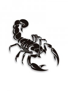 Трафарет Скорпиона 6