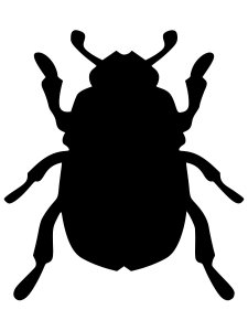 Трафарет Жука 14