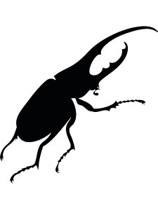 Трафарет Жука 15