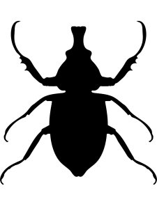 Трафарет Жука 16